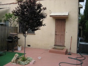 164 backyard and back door